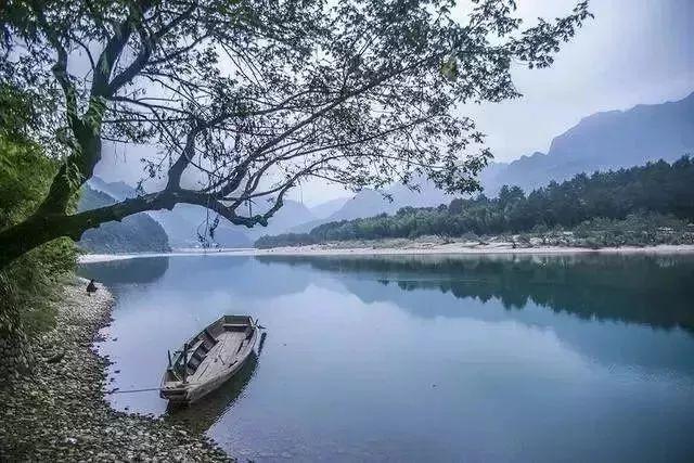 红薯怎么种植才能高产游戏画面